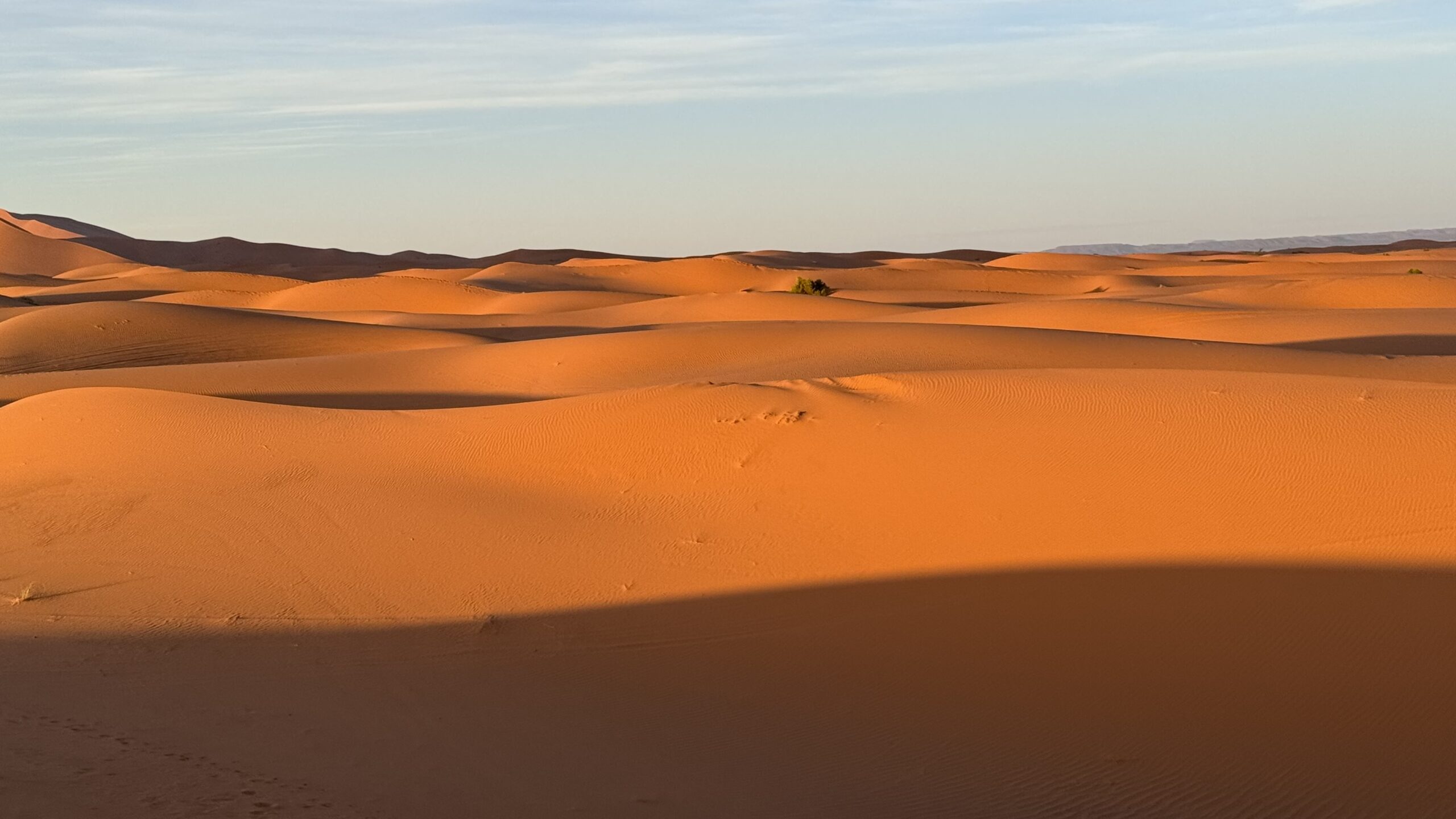 Sahara